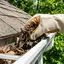 Gutter cleaning service in Sacramento, CA for clogged gutters and drainage