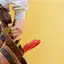 Handyman repair service in Sacramento, CA for home fixes and improvements