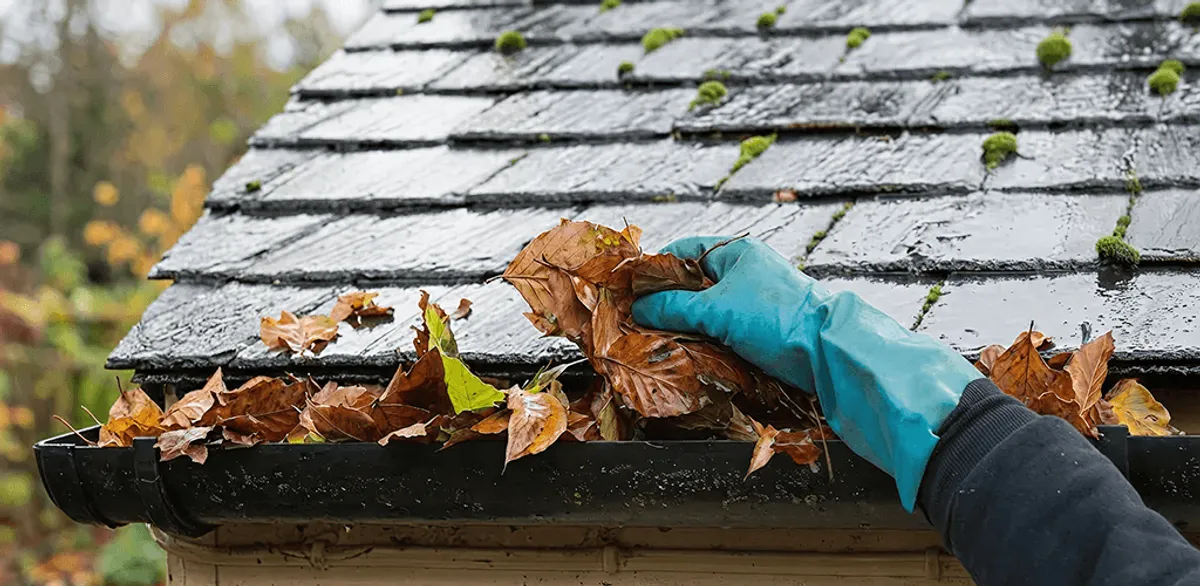 Gutter cleaning technician clearing wet leaves from roof gutters in Sacramento, CA